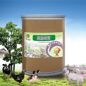 粪肠球菌（水溶性颗粒/冻干粉）